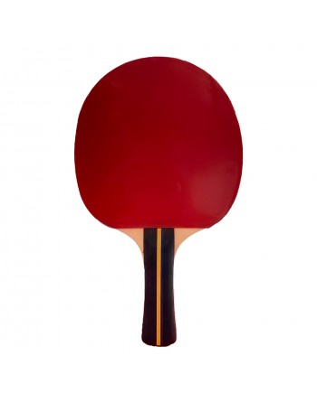 RAQUETA TENIS DE MESA SOFTEE P200