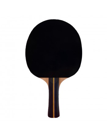 RAQUETA TENIS DE MESA SOFTEE P200