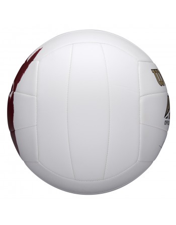 BALÓN VOLEIBOL WILSON CASTAWAY