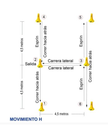 SET 10CONOS 23CN NUMERADOS