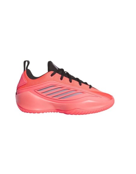 ZAPATILLA DE BALONCESTO