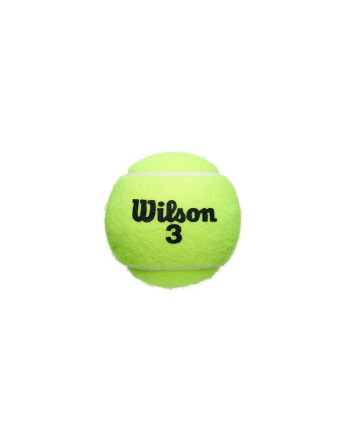 BOTE DE 3 PELOTAS TENIS WILSON ROLAND GARROS ALL