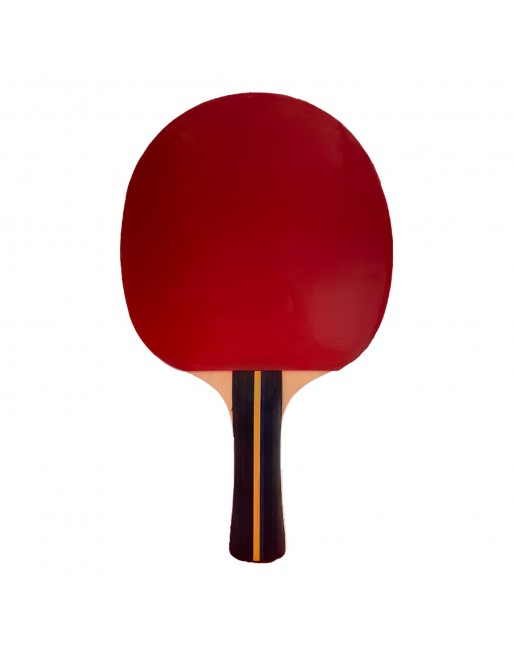 RAQUETA TENIS DE MESA SOFTEE P200