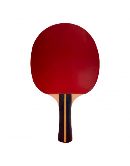 RAQUETA TENIS DE MESA SOFTEE P200