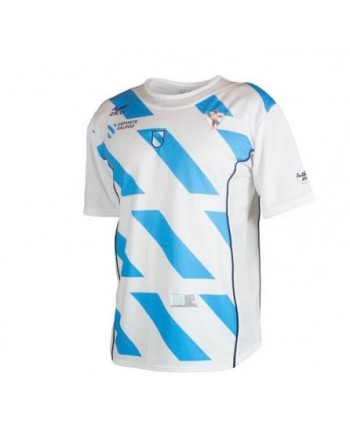 CAMISETA ZICO SELECCION GALLEGA